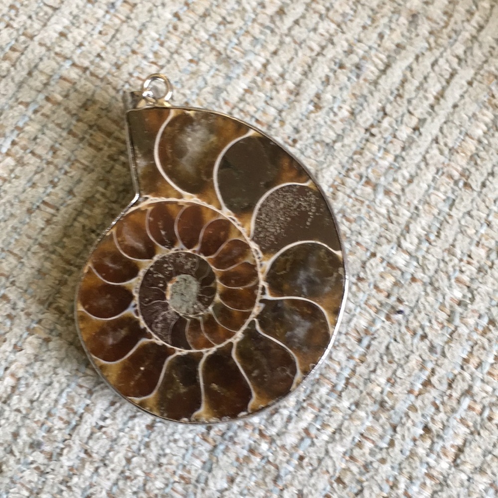 Ammonite Pendant